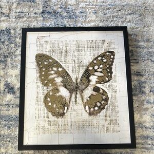 Framed Butterfly Wall Art